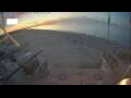 Webcam Renesse aan Zee