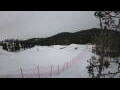 Webcam Ruka
