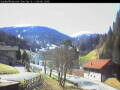 Webcam Gries am Brenner