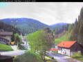 Webcam Gries am Brenner