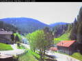 Webcam Gries am Brenner