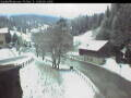 Webcam Gries am Brenner