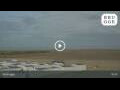 Webcam Zeebrugge