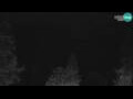 Webcam Kranjska Gora