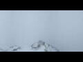 Webcam Grindelwald