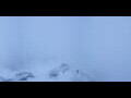 Webcam Grindelwald