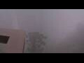 Webcam Caracol