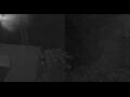 Webcam Caracol