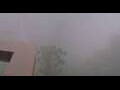 Webcam Caracol