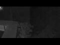 Webcam Caracol
