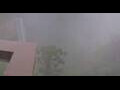 Webcam Caracol