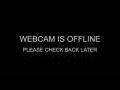 Webcam Zeebruges