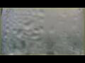 Webcam L'Austral