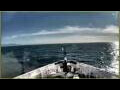 Webcam L'Austral