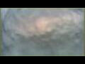 Webcam L'Austral