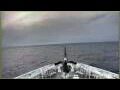 Webcam L'Austral