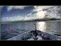 Webcam L'Austral