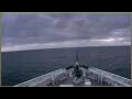 Webcam L'Austral