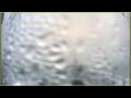 Webcam L'Austral