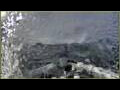 Webcam L'Austral