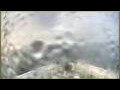 Webcam L'Austral