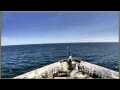Webcam L'Austral
