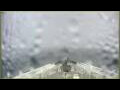 Webcam L'Austral