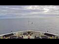 Webcam Le Lapérouse