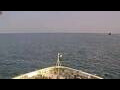Webcam Le Dumont-d'Urville