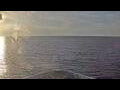 Webcam Le Dumont-d'Urville