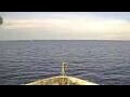 Webcam Le Dumont-d'Urville
