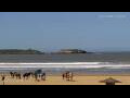 Webcam Essaouira