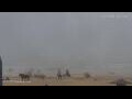 Webcam Essaouira
