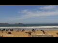 Webcam Essaouira