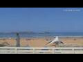 Webcam Essaouira