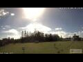 Webcam Burnt Pine (Norfolkinsel)