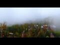 Webcam Gatlinburg, Tennessee: 360°-Panorama Anakeesta