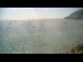 Webcam Les Anses-d'Arlet