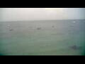 Webcam Les Anses-d'Arlet