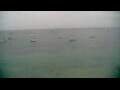 Webcam Les Anses-d'Arlet