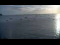Webcam Les Anses-d'Arlet