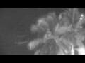 Webcam Les Anses-d'Arlet