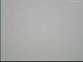 Webcam Peking
