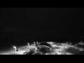 Webcam Punta Arenas