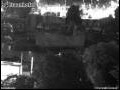 Webcam Dresden