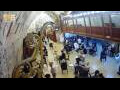 Webcam Gerusalemme