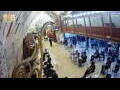 Webcam Gerusalemme