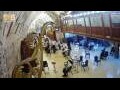 Webcam Gerusalemme