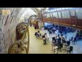 Webcam Jerusalem