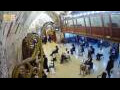 Webcam Jerusalem